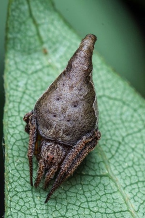 image-12-31-16-at-11-31-am