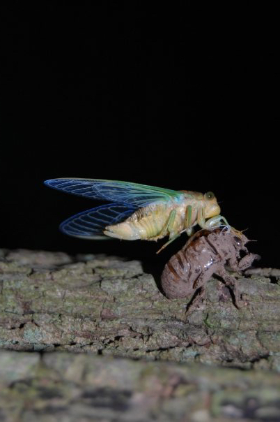 8234_127844182613_707017613_2184074_3407797_n[1]