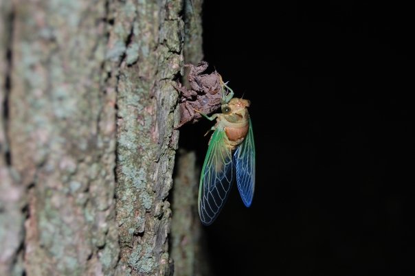 8234_127902267613_707017613_2184691_5343028_n[1]