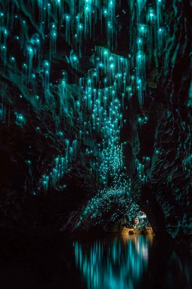 artNatglowaustralia1