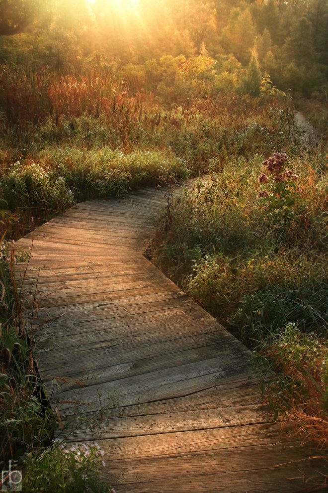 BobBlairStreetsbnaturePreserve