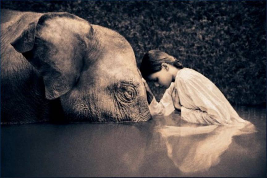 Photograph by Gregory ColbertTao&amp;Zen
