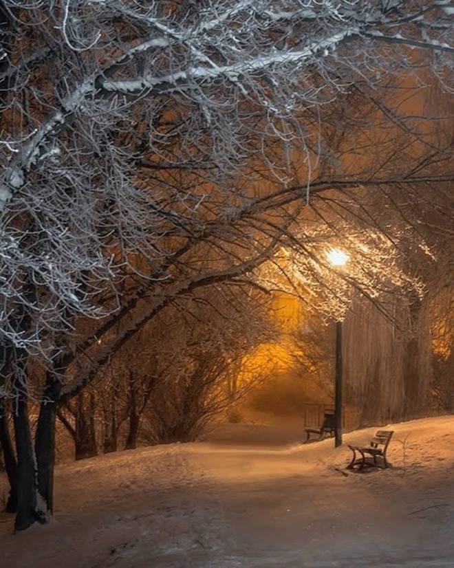 in the stillness of the night ....by barbara klonowo