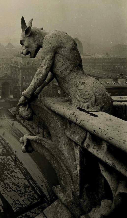 The Gargoyle of Notre Dame overlooking Paris, 1910.