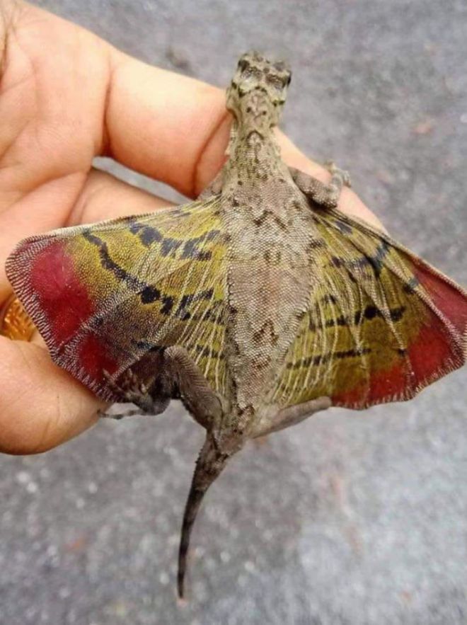 Lea Ann Munyon‎Mysterious, Forgotten, &amp; Hauntingly Beautiful